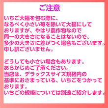 画像をギャラリービューアに読み込む, 【配送のみ商品店舗受取不可】いちご大福 白あん 4個入 - 新潟菓子工房菜菓亭
